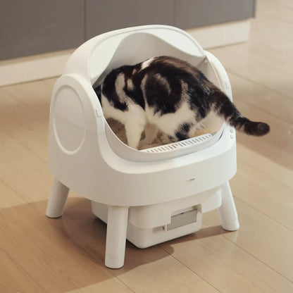 Smart Cat Box